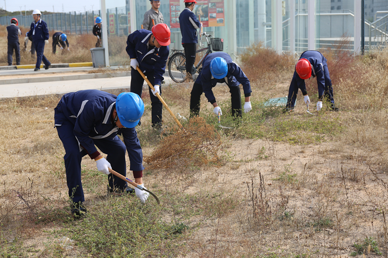 1571885915719638.jpeg CE0A8226.JPG