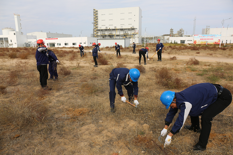 1571886043452151.jpeg CE0A8251.JPG