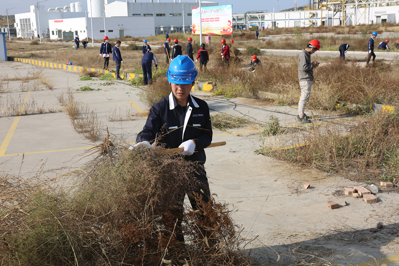 1571886090303972.jpeg CE0A8395.JPG