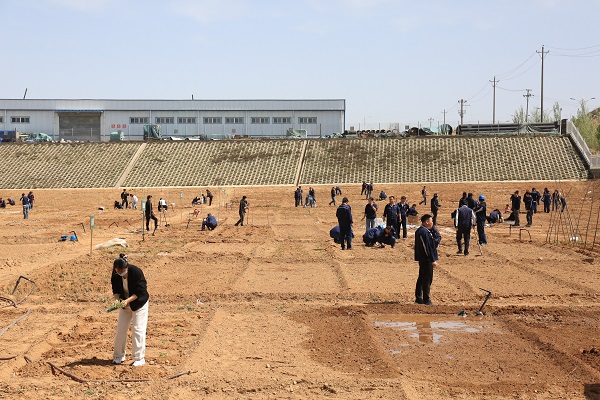 1745714539270233.jpeg 全员播种.jpg